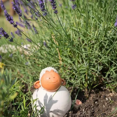 Sunny Garden * Zanka