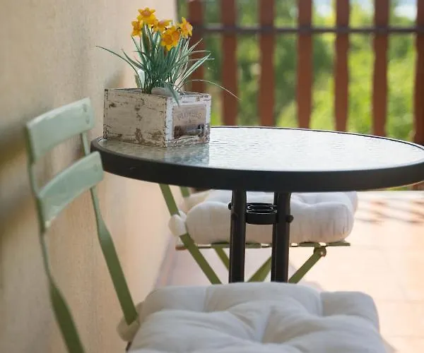 Sunny Garden