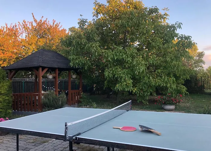 Sunny Garden
